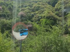 -少华山国家森林公园