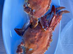 -大锅强·蒸海鲜青岛菜(金沙滩店)