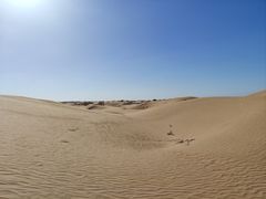 -银肯塔拉沙漠生态旅游景区