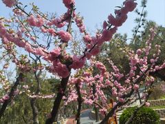 -长辛店二七公园