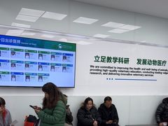 -中国农业大学动物医院