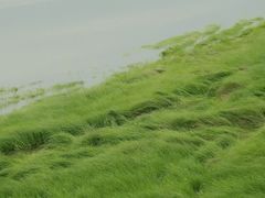 -落星墩