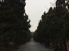 -八大关景区