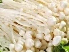 -李想大虾(吾悦广场店)