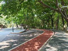 -水濂山森林公园