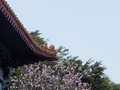 -南沙天后宫景区