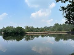 -溱湖国家湿地公园