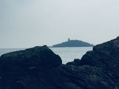 -上海市保健医疗中心(华东疗养院)