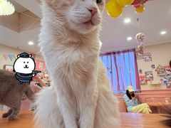 -鲜芋仙(群光广场店)