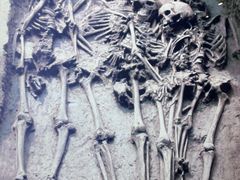 -重庆中国三峡博物馆(重庆博物馆)