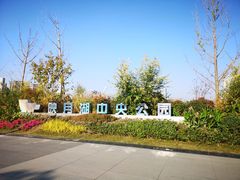 -映月湖中央公园