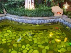 -杭州第一世界大酒店·云曼温泉