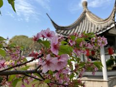 -无锡梅园公园