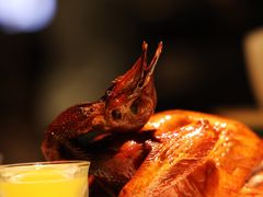-大鸽饭(北京路店)