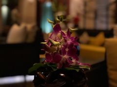 -广州都喜泰丽温泉度假酒店