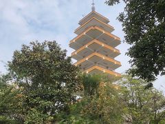 -鹅岭公园瞰胜楼