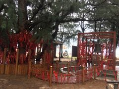 -北海金海湾红树林生态旅游区