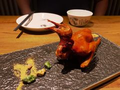 红烧鸽-大鸽饭(岗顶店)