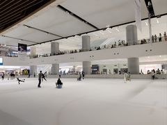 -TheRink大零溜冰场(IFS国金中心店)