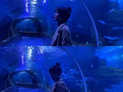 -多彩贵州城极地海洋世界