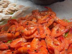 -星伦多自助料理·涮烤一体(江桥万达店)