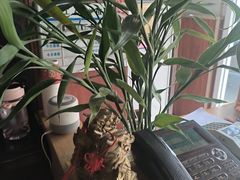 -深蓝盲人推拿·颈肩腰腿疼痛·艾灸调理(清河店)