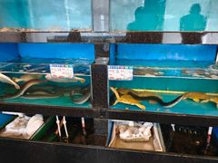 -华盛丰温州大排档(东三环南路店)