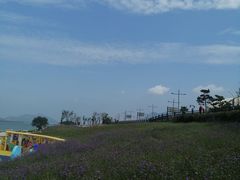 -在海一方公园