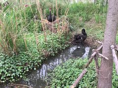 -长兴太湖图影湿地文化园