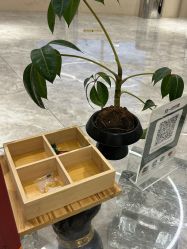 -KONSISTANT科思坦汀问题肌·科技美肤