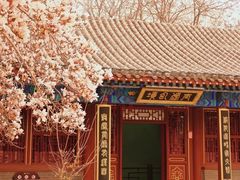 -荣国府