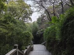 -乌山风景区