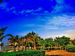 -宝安西湾红树林湿地公园