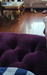 点击看大图 -大美母婴月子中心