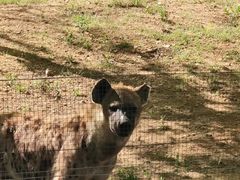 -秦皇岛野生动物园