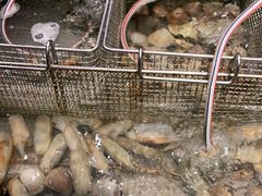 -福州美伦大饭店-中餐厅