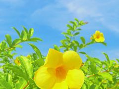 -芒洲湿地公园