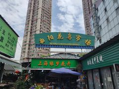 -曲阳花鸟市场(曲阳路店)