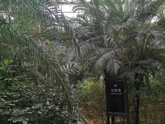 -龙达温泉生态城