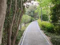 -新湖明珠城