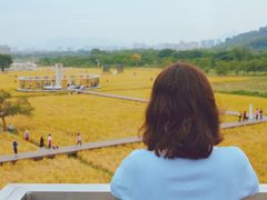 -艾米稻香小镇