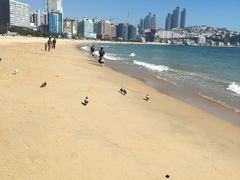-海云台海滩