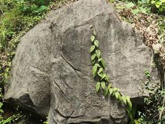 -大唐贡茶院