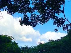 -银瓶嘴森林公园