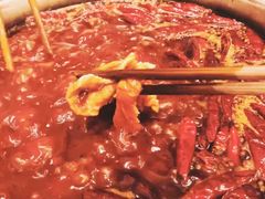 -大龙火锅(老店)