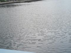-马栏河运动公园