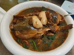 菊黄河豚鱼-莆鑫海鲜城(浏河店)