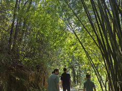 -广州白江湖森林公园