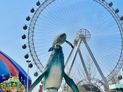 -海合安武汉极地海洋公园