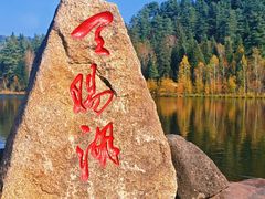 -五营红松林海景区